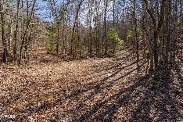 4.4 Acres of Residential Land for Sale in Mountain City, Tennessee