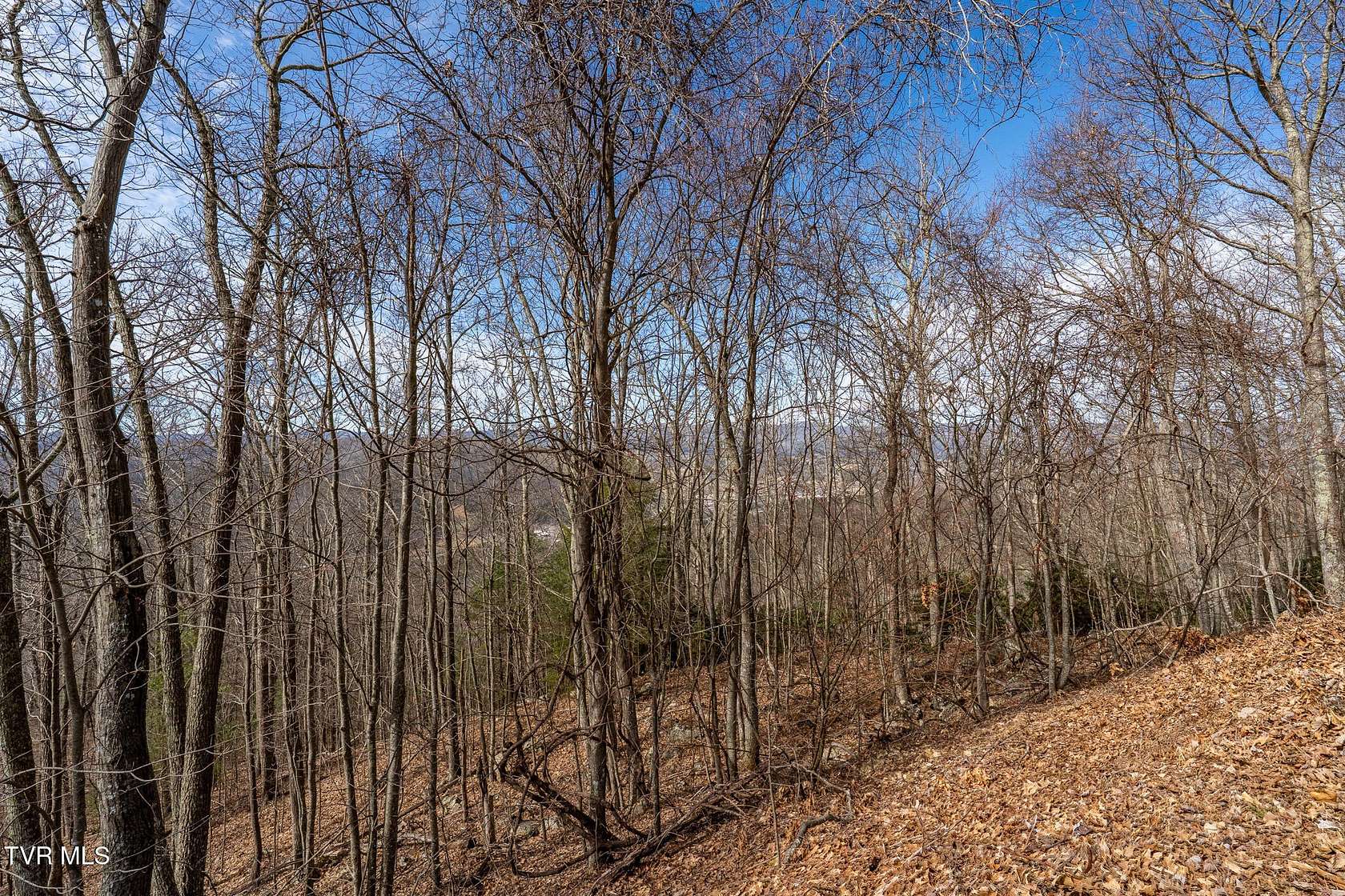 8 Acres of Residential Land for Sale in Mountain City, Tennessee