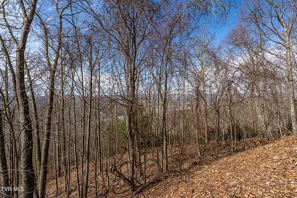 8 Acres of Residential Land for Sale in Mountain City, Tennessee