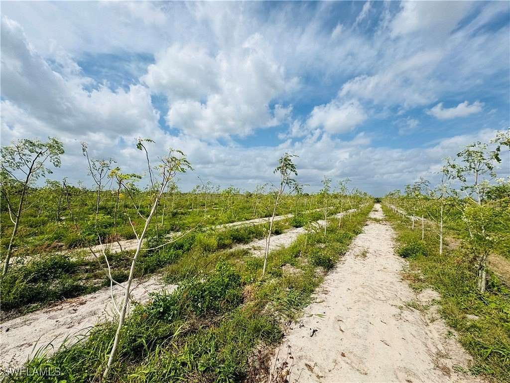 13.3 Acres of Agricultural Land for Sale in LaBelle, Florida