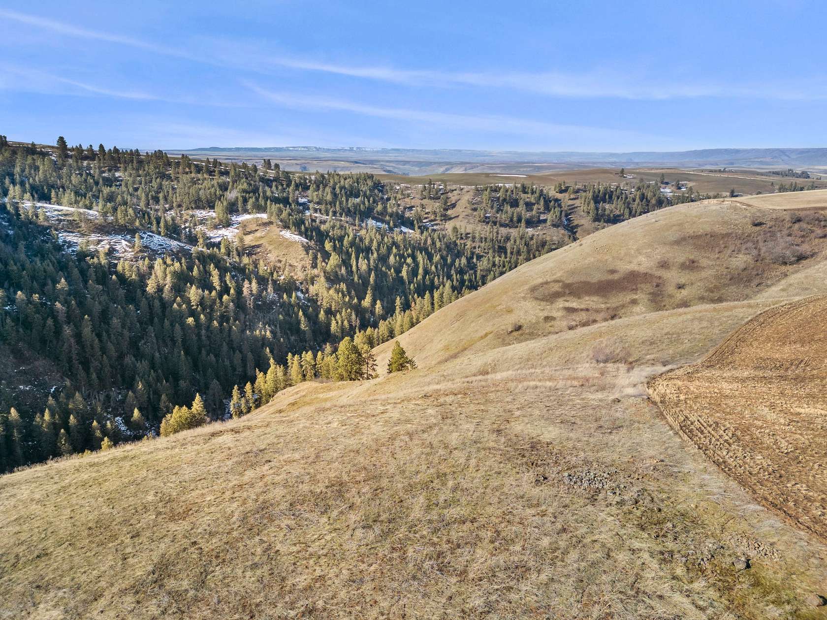120 Acres of Recreational Land for Sale in Culdesac, Idaho