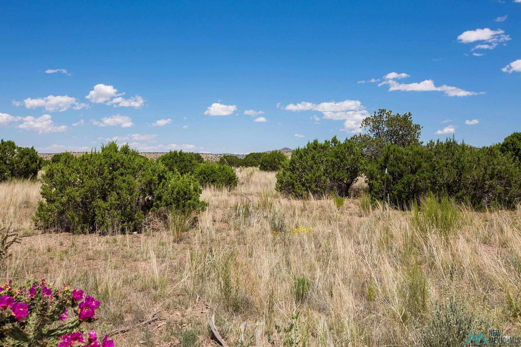 30 Acres of Land for Sale in Magdalena, New Mexico