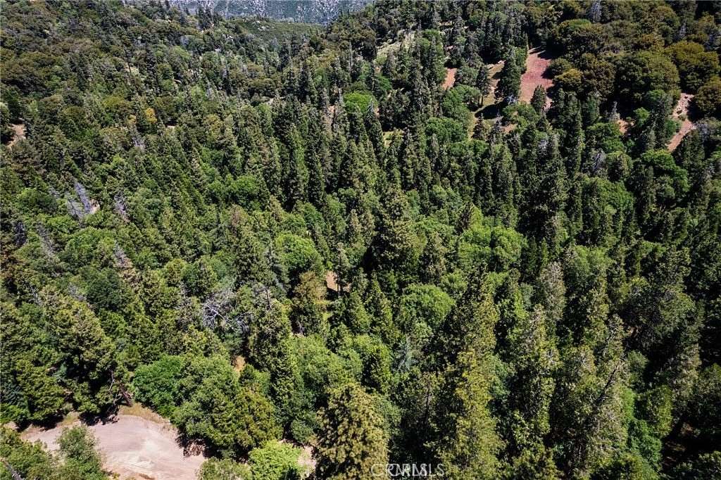 0.05 Acres of Land for Sale in Cedarpines Park, California