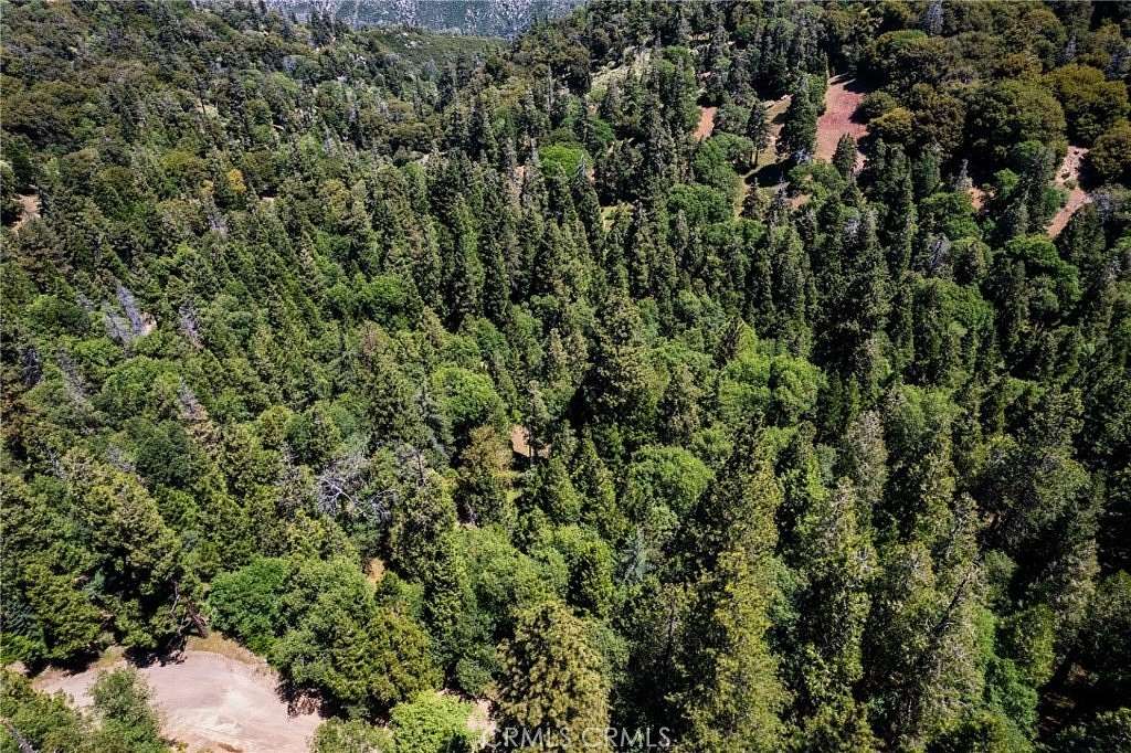 0.05 Acres of Land for Sale in Cedarpines Park, California