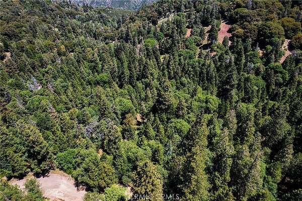 0.05 Acres of Land for Sale in Cedarpines Park, California