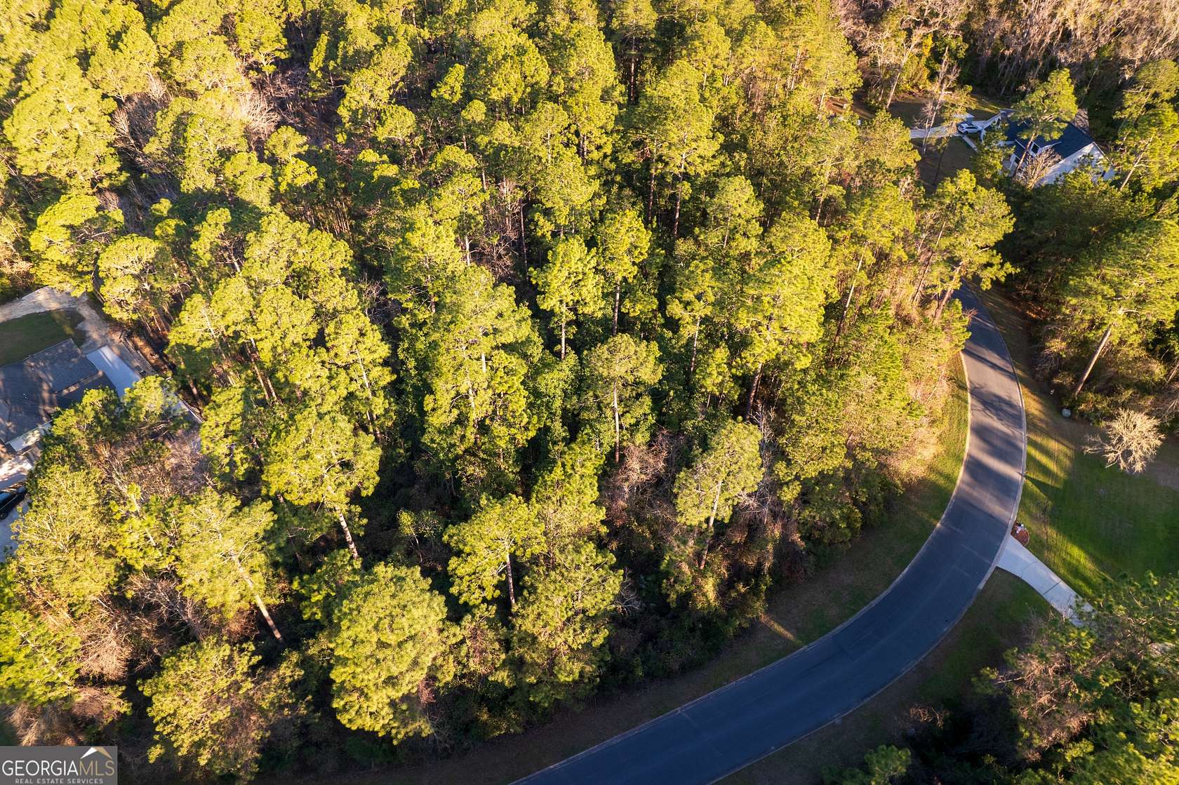 1 Acre of Residential Land for Sale in Woodbine, Georgia