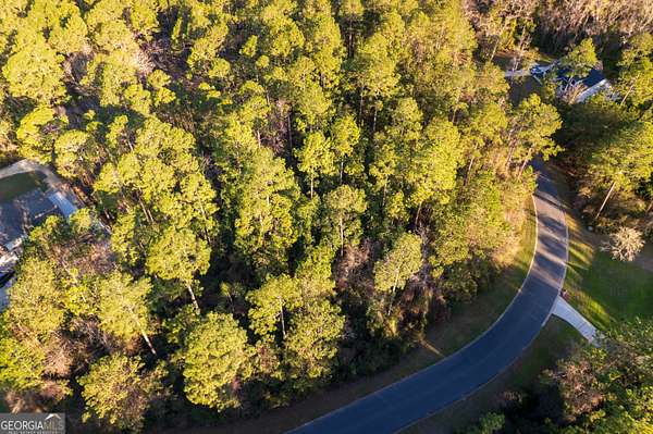 1 Acre of Residential Land for Sale in Woodbine, Georgia