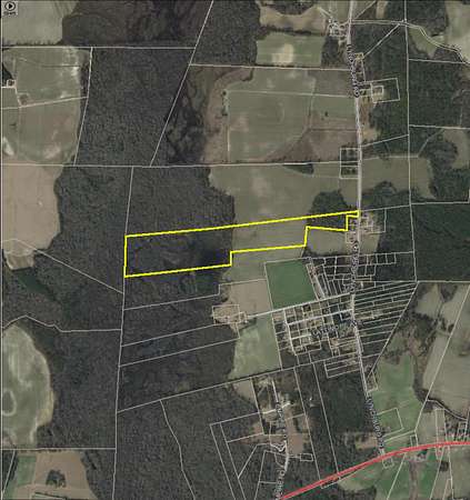 75.8 Acres of Recreational Land & Farm for Sale in Kingstree, South Carolina