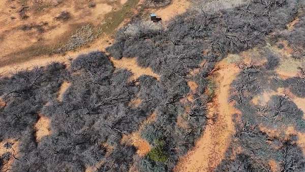 259 Acres of Recreational Land & Farm for Sale in Bronte, Texas