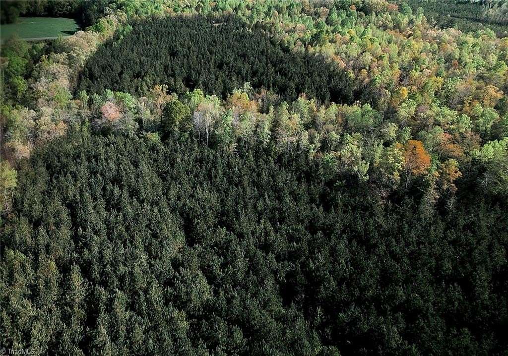 66.9 Acres of Land for Sale in Asheboro, North Carolina