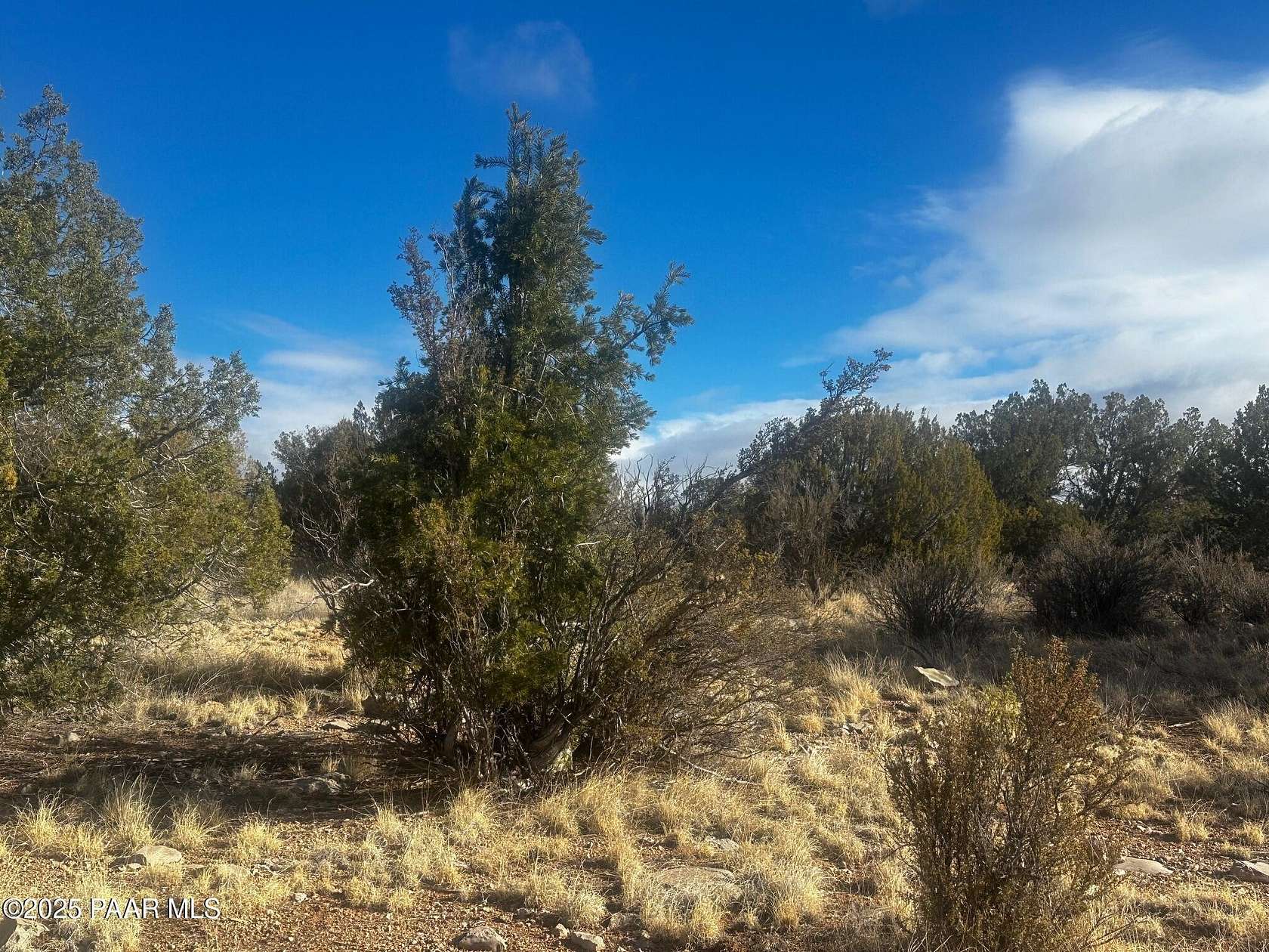 2 Acres of Residential Land for Sale in Seligman, Arizona