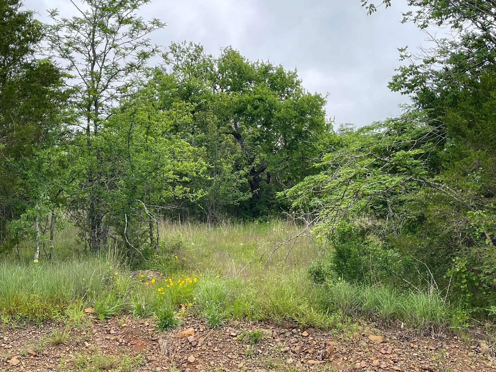 1 Acre of Residential Land for Sale in Antlers, Oklahoma
