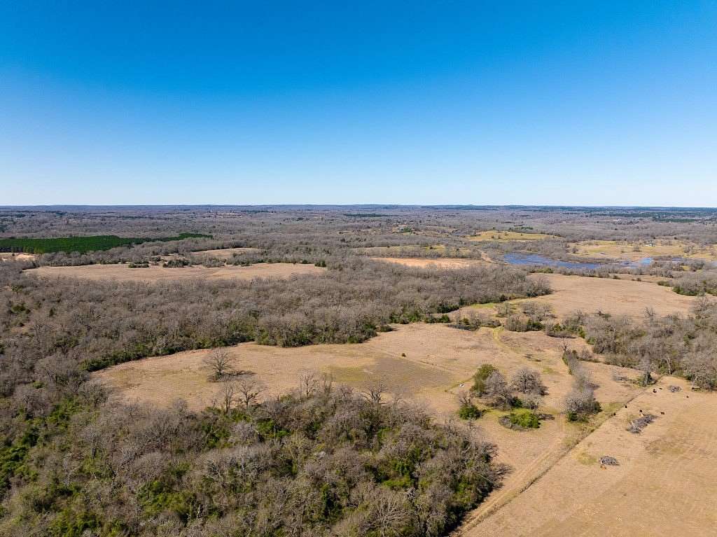 181 Acres of Recreational Land & Farm for Sale in Oakwood, Texas