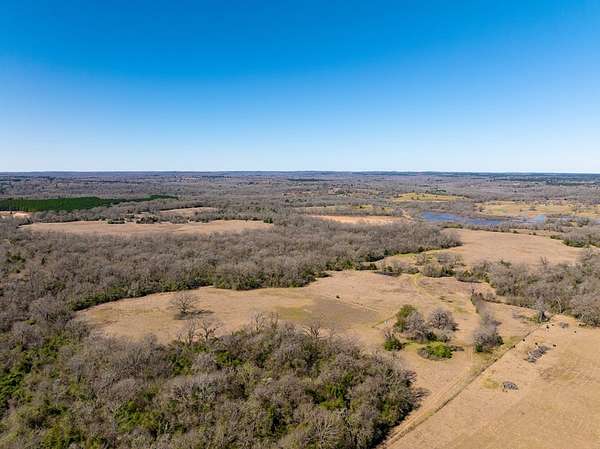 181 Acres of Recreational Land for Sale in Oakwood, Texas