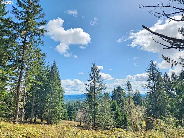 57.3 Acres of Land for Sale in Veneta, Oregon