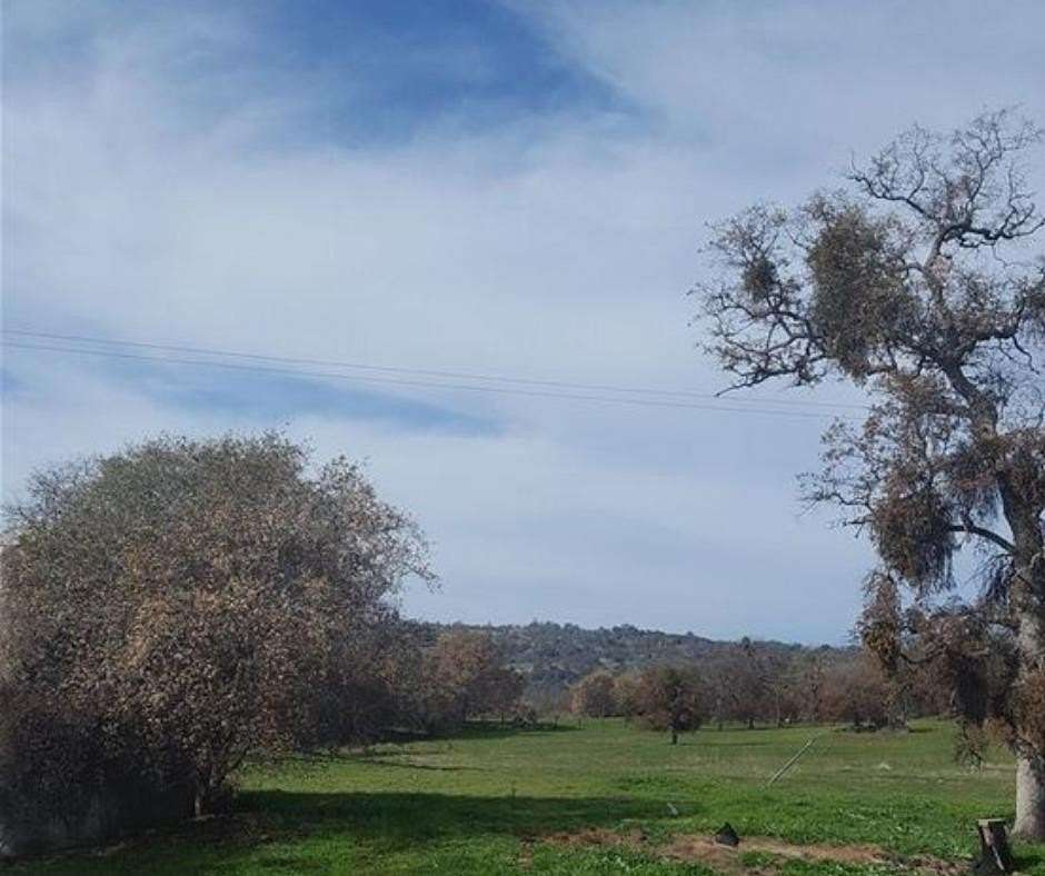 18.3 Acres of Land for Sale in Mariposa, California