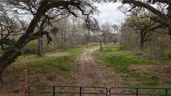 13 Acres of Land for Sale in Ponchatoula, Louisiana