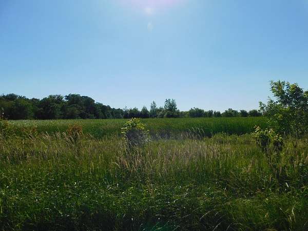 1 Acre of Land for Sale in Earlville, Illinois