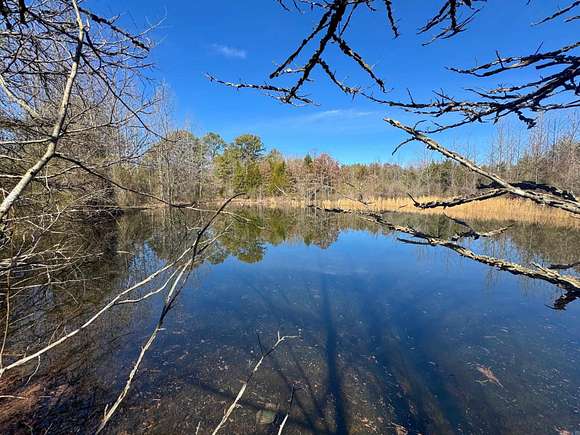 178 Acres of Recreational Land for Sale in Bee Branch, Arkansas