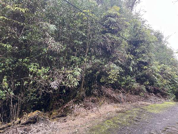 3 Acres of Residential Land for Sale in Mountain View, Hawaii