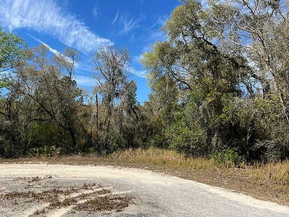 0.63 Acres of Residential Land for Sale in Webster, Florida