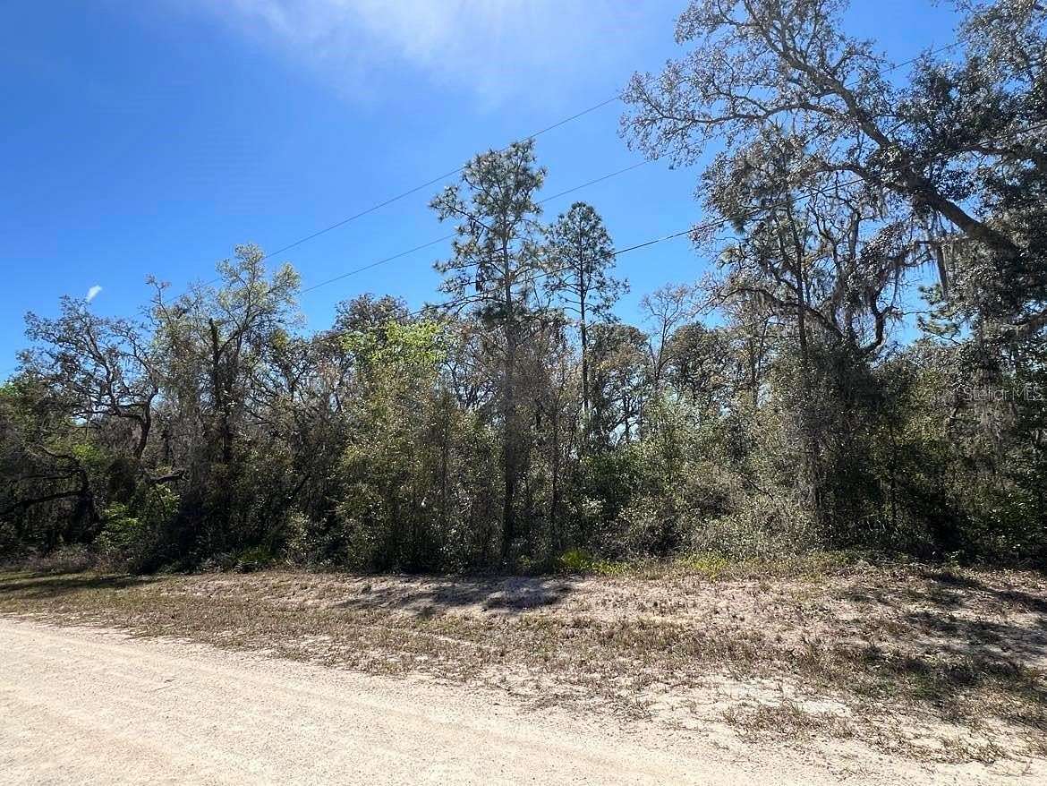 0.38 Acres of Residential Land for Sale in Webster, Florida
