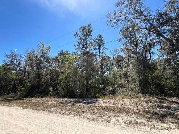 0.38 Acres of Residential Land for Sale in Webster, Florida