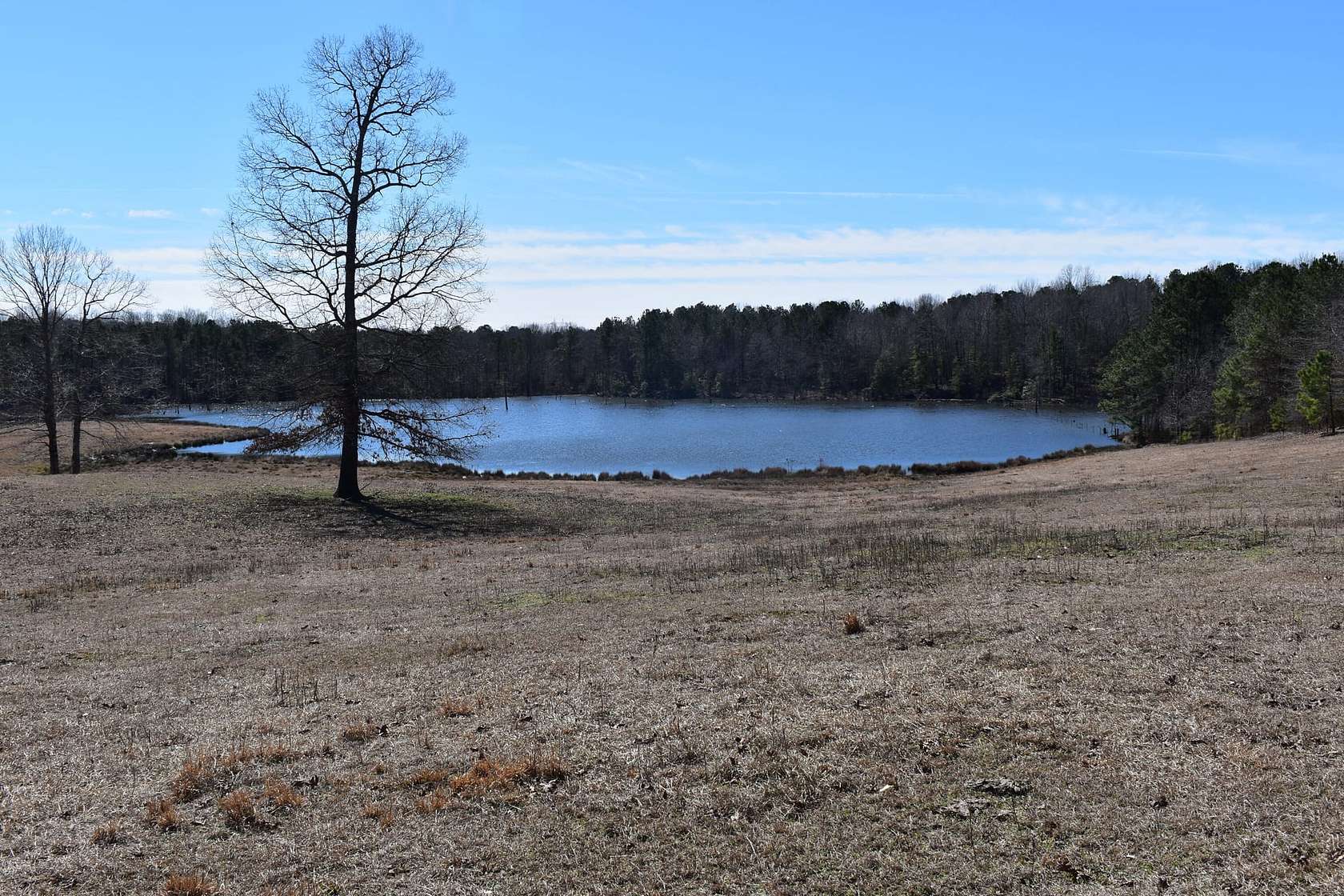 60.5 Acres of Recreational Land for Sale in Mabelvale, Arkansas