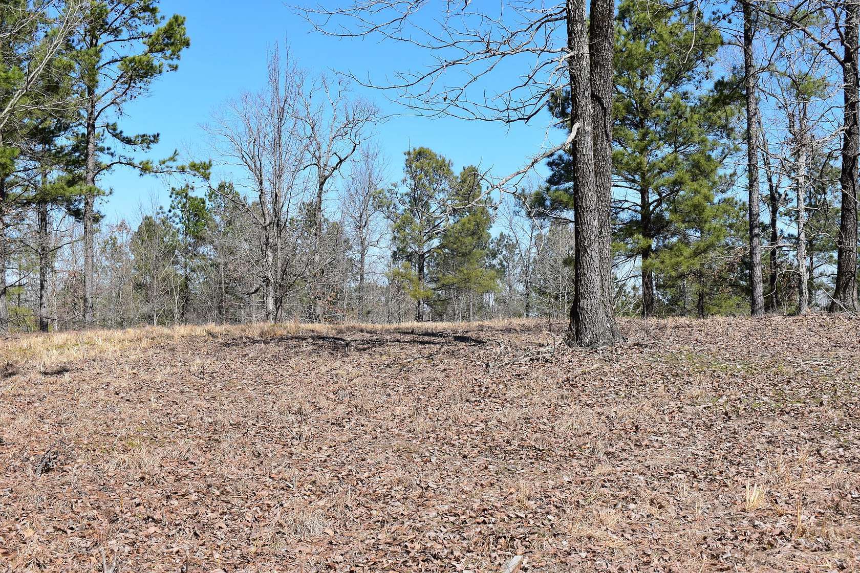 81.3 Acres of Recreational Land for Sale in Mabelvale, Arkansas