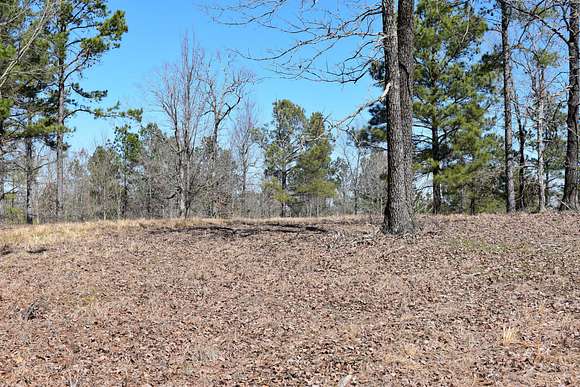 81.3 Acres of Recreational Land for Sale in Mabelvale, Arkansas