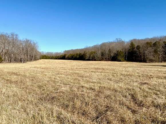 199 Acres of Recreational Land & Farm for Sale in Ava, Missouri