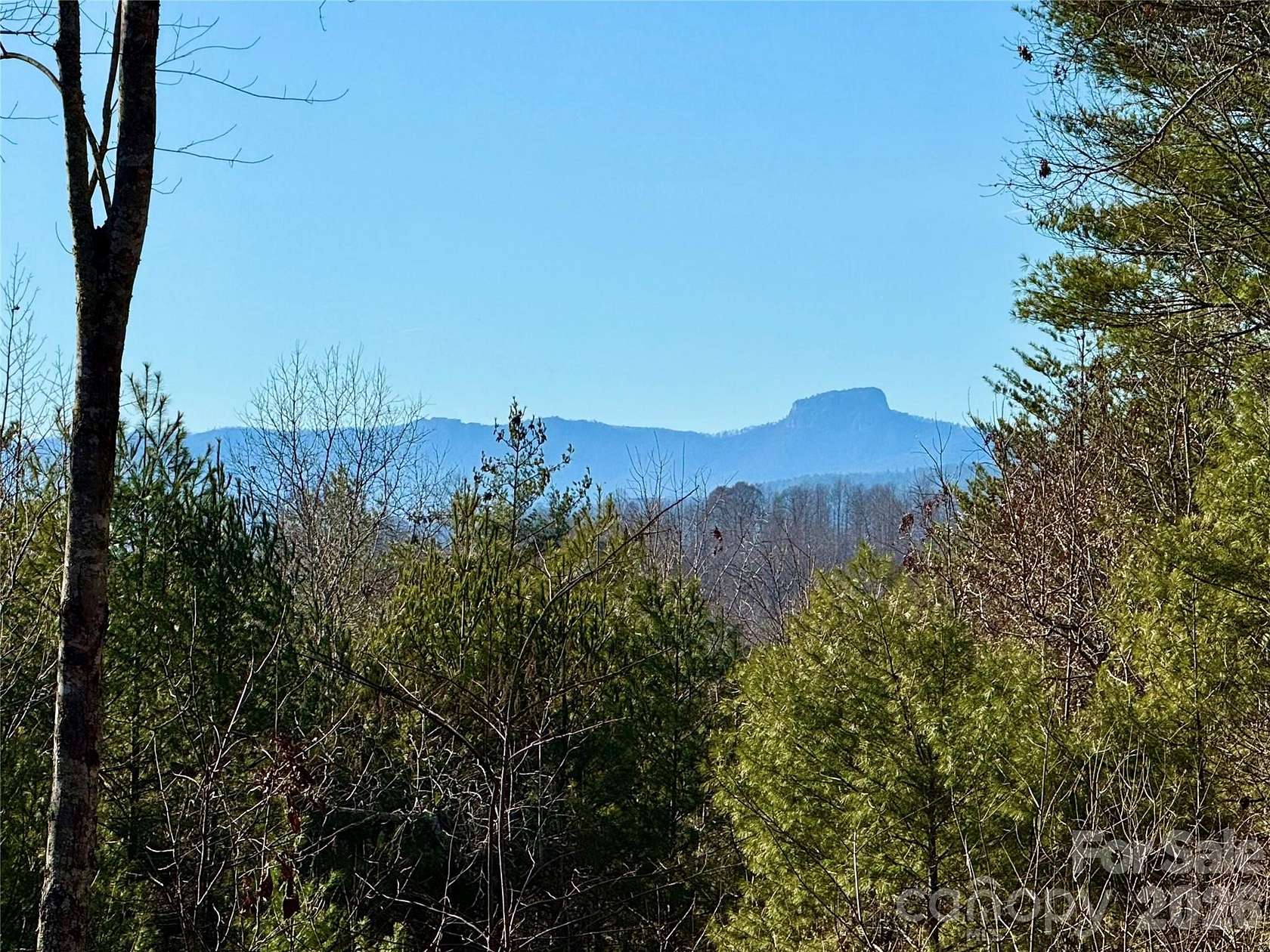 54.2 Acres of Agricultural Land for Sale in Lenoir, North Carolina