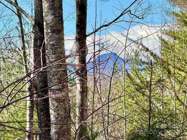 54.2 Acres of Land for Sale in Lenoir, North Carolina