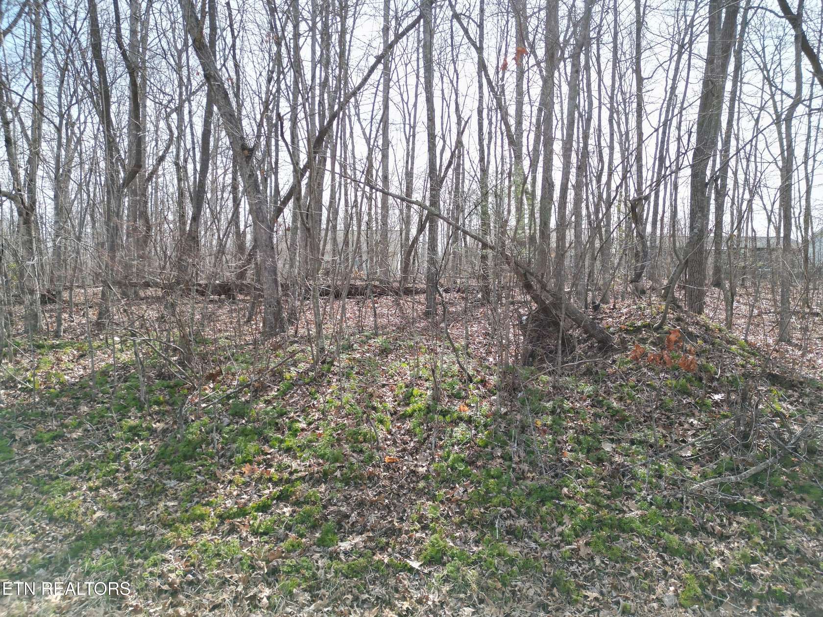 0.26 Acres of Residential Land for Sale in Crossville, Tennessee