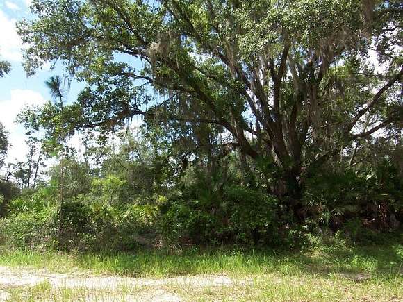 0.5 Acres of Residential Land for Sale in Indian Lake Estates, Florida