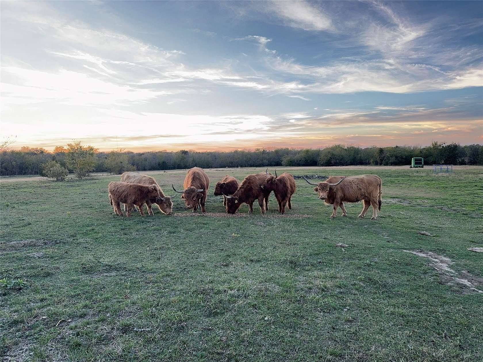 82.3 Acres of Land with Home for Sale in Campbell, Texas
