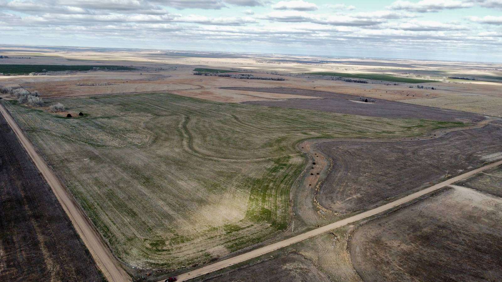 157 Acres of Recreational Land & Farm for Sale in Nekoma, Kansas