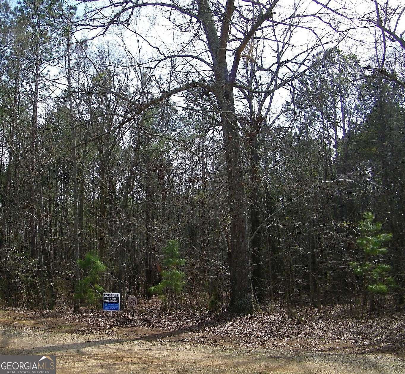 4.34 Acres of Residential Land for Sale in Elberton, Georgia
