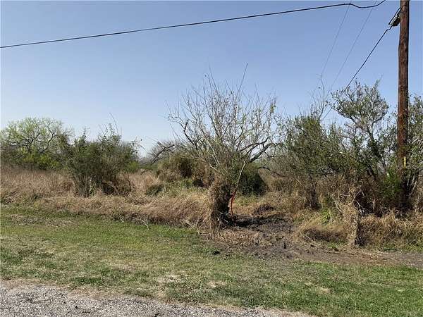 0.31 Acres of Land for Sale in Alice, Texas