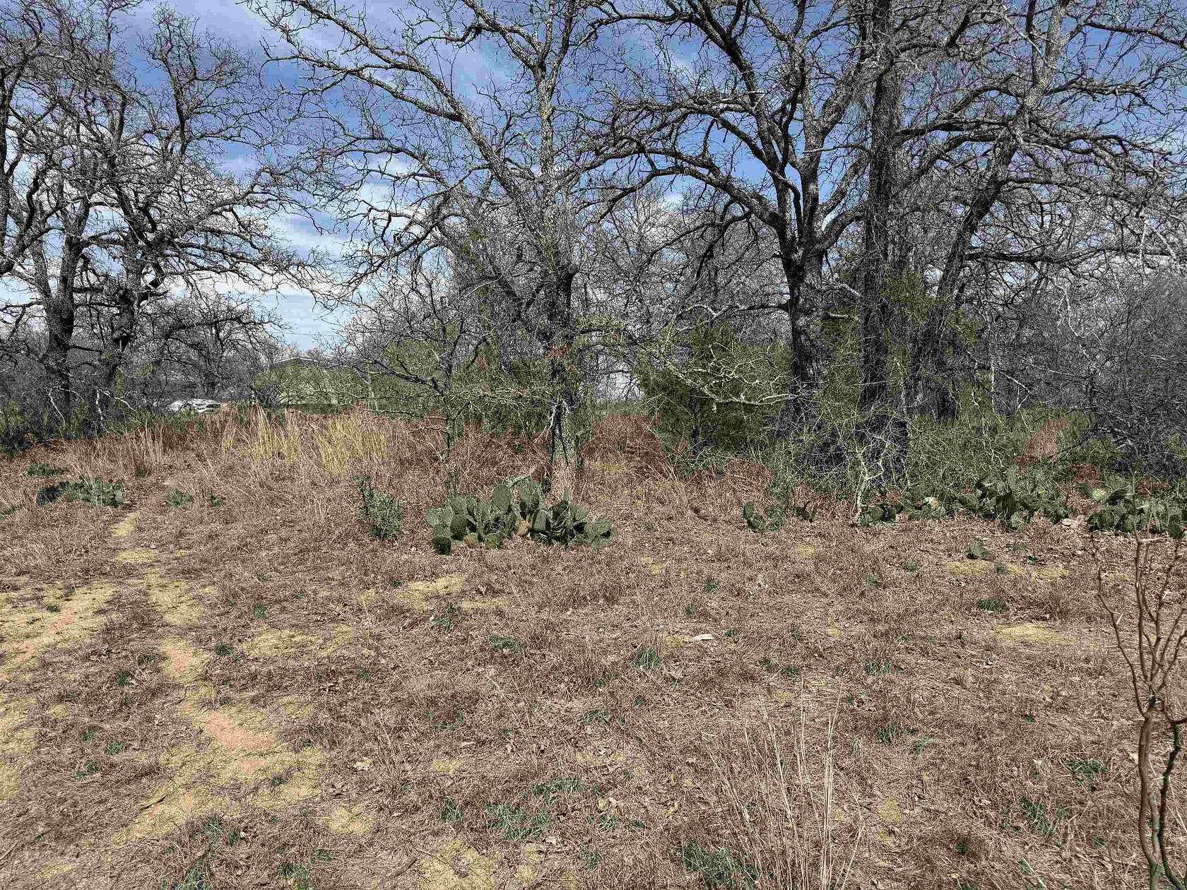 0.29 Acres of Land for Sale in Kingsland, Texas - LandSearch