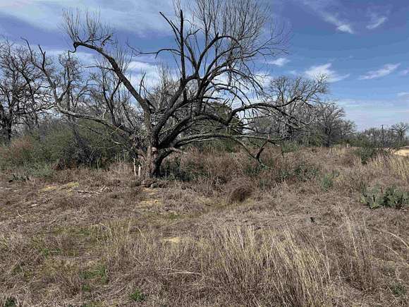 0.29 Acres of Land for Sale in Kingsland, Texas - LandSearch