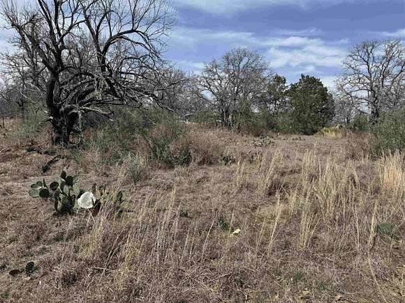 0.29 Acres of Land for Sale in Kingsland, Texas - LandSearch