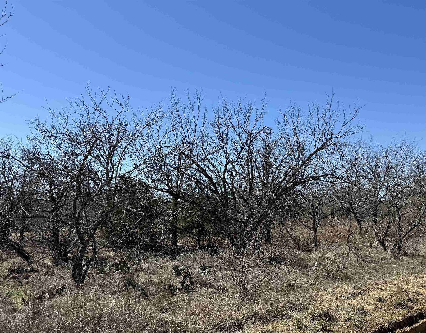 0.28 Acres of Residential Land for Sale in Kingsland, Texas
