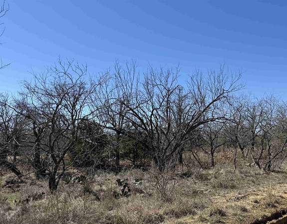 0.28 Acres of Residential Land for Sale in Kingsland, Texas