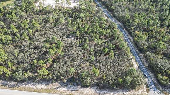 4 Acres of Residential Land for Sale in Beverly Hills, Florida