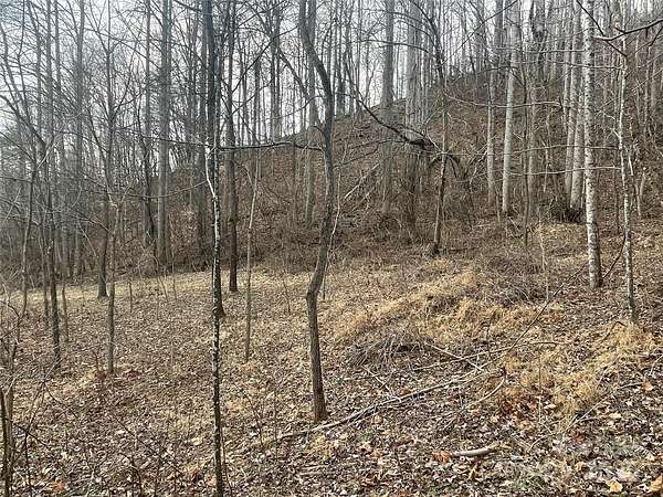 10 Acres of Land for Sale in Barnardsville, North Carolina