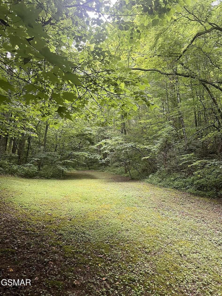 42 Acres of Recreational Land for Sale in Sevierville, Tennessee