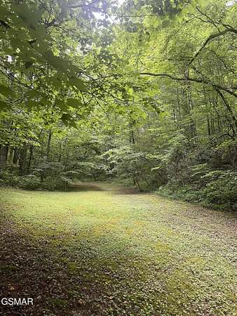42 Acres of Recreational Land for Sale in Sevierville, Tennessee