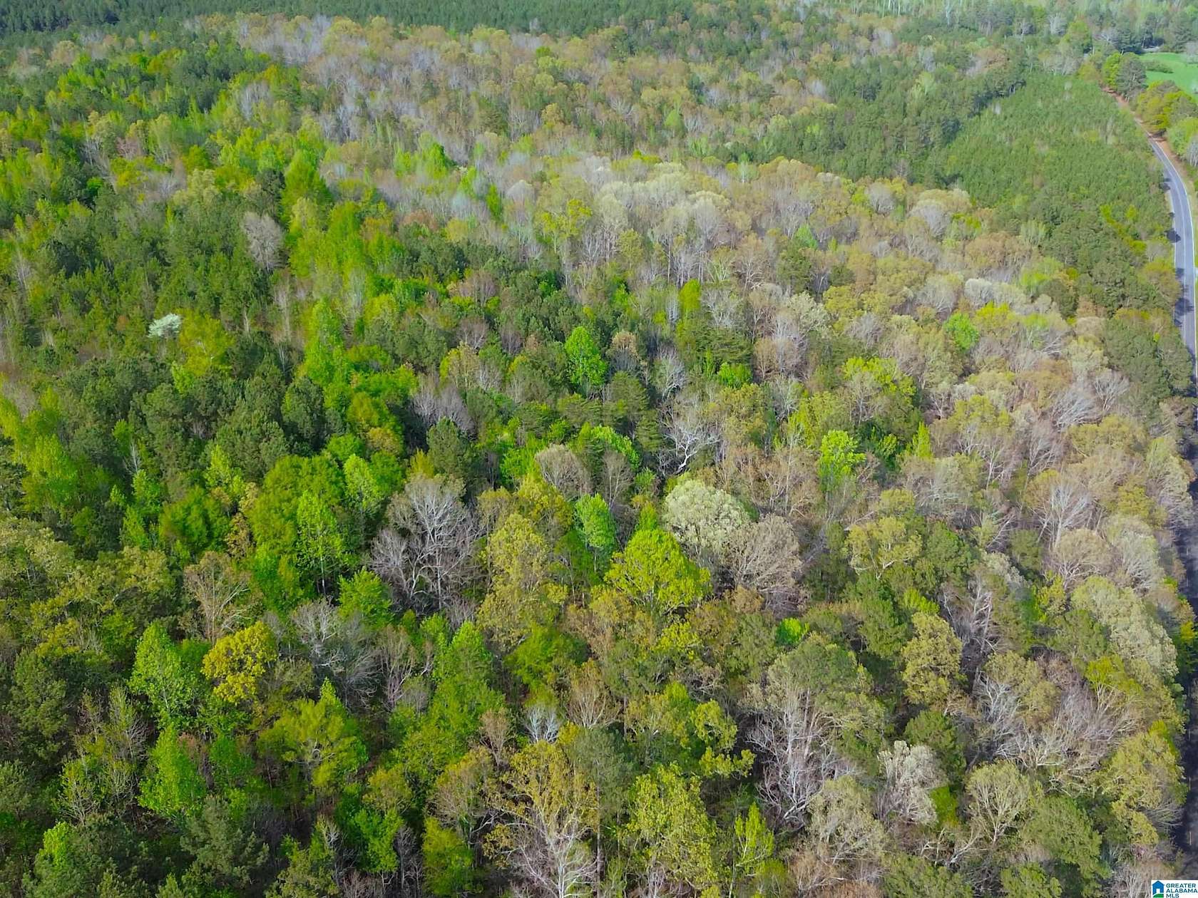 89 Acres of Land for Sale in Piedmont, Alabama