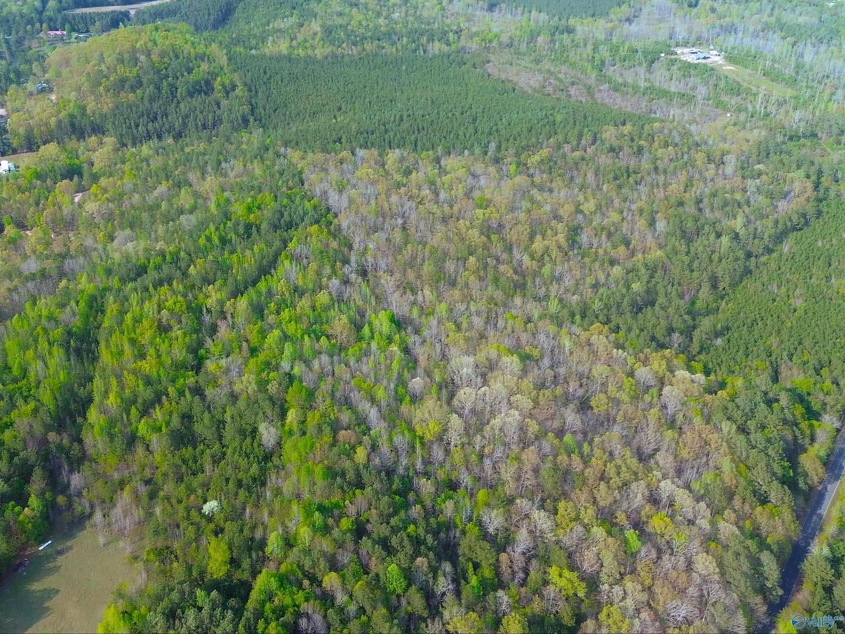 89 Acres of Land for Sale in Piedmont, Alabama